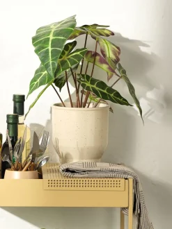 ADAM Blomsterpotter|Blomsterpotte Ø15xH17cm beige