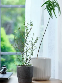 THORFINN Blomsterpotter|Blomsterpotte Ø13xH13cm grå