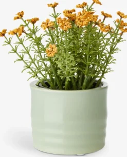 TIM Blomsterpotter|Blomsterpotte Ø9xH7cm assorteret