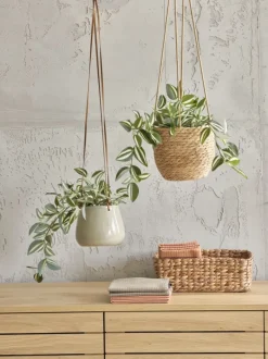 ASGAR Kunstige Planter|Kunstig plante H24cm