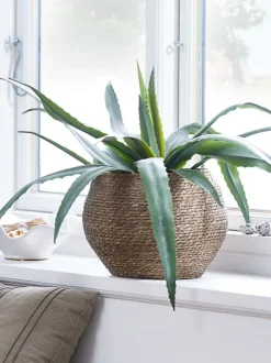 CELIUS Kunstige Planter|Kunstig plante H65cm