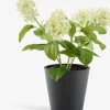 DANIEL Kunstige Planter|Kunstig plante Ø10xH22cm m/potte
