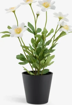 EINERT Kunstige Planter|Kunstig plante Ø18xH32cm m/potte