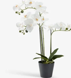 MATINUS Kunstige Planter|Kunstig plante H62cm m/blomster