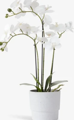MATINUS Kunstige Planter|Kunstig plante H62cm m/blomster