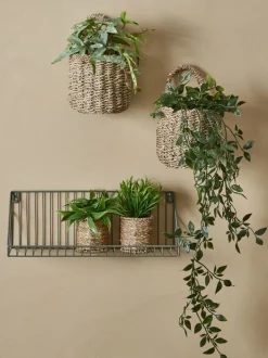 OLIVER Kunstige Planter|Kunstig plante t/ophæng m/potte