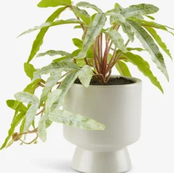 OLSEN Kunstige Planter|Kunstig plante Ø9xH20cm m/potte