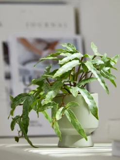 OLSEN Kunstige Planter|Kunstig plante Ø9xH20cm m/potte