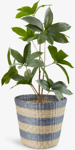 VESTER Fletkurve Mv.|Kurv Ø35xH30cm søgræs