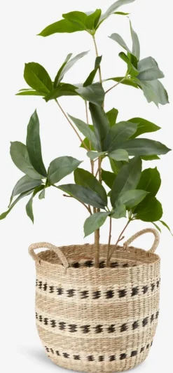 VIGIL Fletkurve Mv.|Kurv Ø32xH27cm søgræs