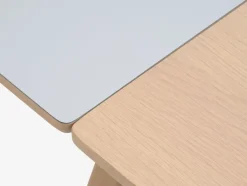 EGEBJERG Spiseborde|Spisebord 90x160/250 lysegrå/eg