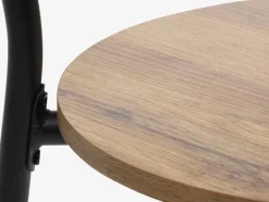 GADSTRUP Spisebordsstole|Spisebordsstol sort/egefarve