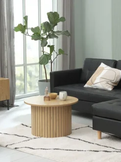 HEMDRUP Tv-borde|TV-bord 2 låger egefarve