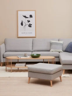 SNESLEV Tv-borde|TV-bord 1 hylde efarve Eg