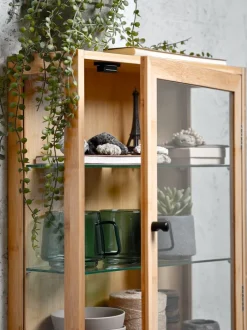 RIBE Småopbevaring Diverse|Vægskab 1 glaslåge natur